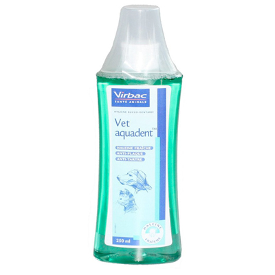 Aquadent